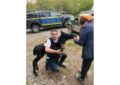 Acțiune comună, a polițiștilor de la protecția animalelor din Bihor, pentru verificarea condițiilor de îngrijire a câinilor