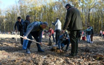 Bihorul plantează, în Apateu și Valea lui Mihai