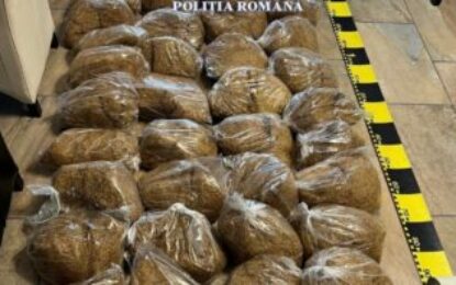 Peste 10 kilograme de tutun și țigarete confecționate artizanal, descoperite în urma unei percheziții, de polițiștii de investigare a criminalității economice din Bihor