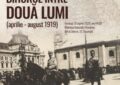 Bihorul între două lumi (aprilie–august 1919)