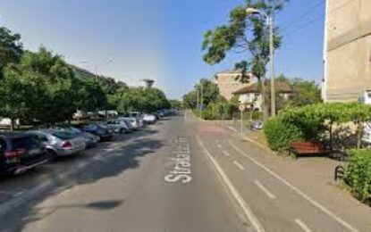 Lucrări de toaletare și doborât arbori în perioada 5 – 9 mai