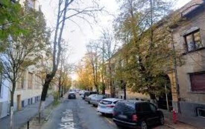 Lucrări de toaletare și doborât arbori în această săptămână în Oradea