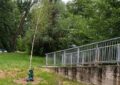 Arborii tineri, vandalizați în urma petrecerilor de 1 Mai în zona Silvaș