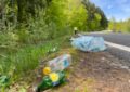 Două concursuri pentru copii în ediția a V-a a ,,Lunii curățeniei în Bihor”