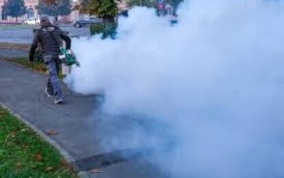 Încep tratamentele fitosanitare la arbori