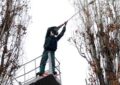 Lucrări de toaletare și doborâre a arborilor în cartierul Rogerius, în perioada 12–16 mai