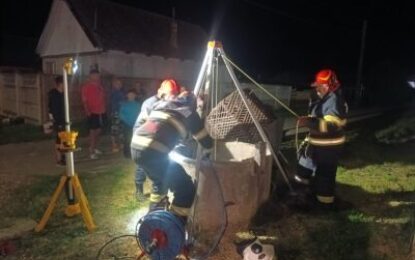 Pentru pompieri fiecare viață contează: două pisici salvate dintr-o fântână de peste 20 de metri adâncime