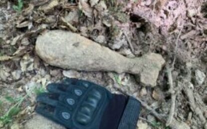 Bombă cu încărcătură explozivă, descoperită în pădurea din Băile Felix