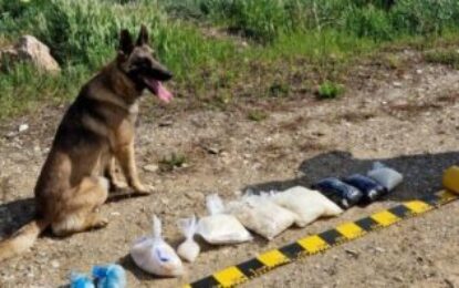 Acţiune împotriva traficului de droguri